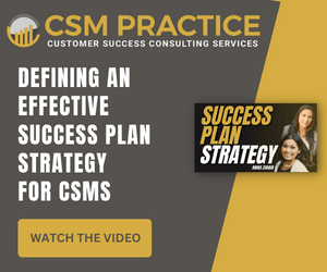 Defining an Effective Success Plan Strategy for CSMs VIDEO